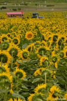 /album/%e5%a4%8f/a1-23-jpg/